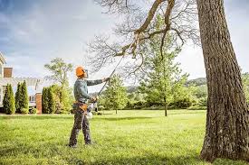 Best Tree Disease Treatment  in West Allis, WI