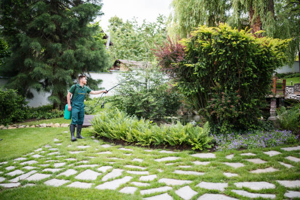 Best Grass Overseeding  in West Allis, WI