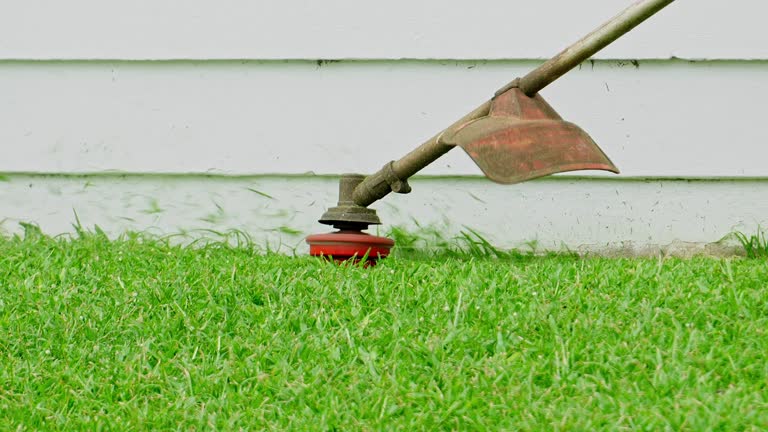 Soil Testing and Treatment in West Allis, WI